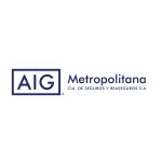 LOGO AIG_Mesa de trabajo 1